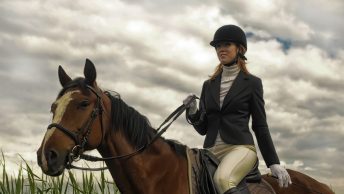 Best-Horse-Riding-Helmet-Reviews-and-Buying-Guide