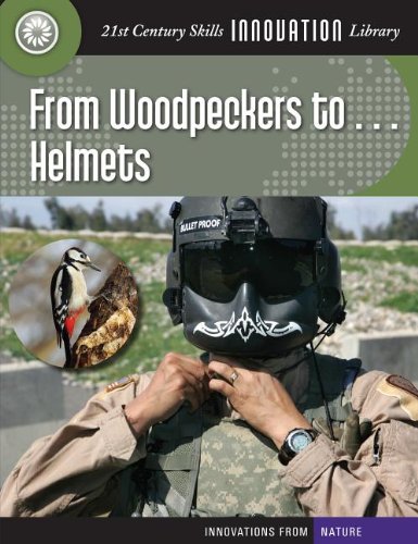  From Woodpeckers To Helmets